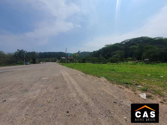 #46 - Terreno para Venta en Santa Cruz de Yojoa - Cortés - 2