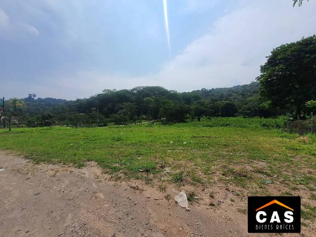 #46 - Terreno para Venta en Santa Cruz de Yojoa - Cortés - 1