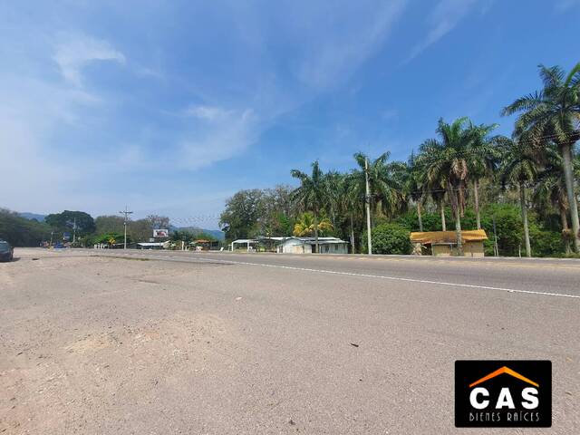 #46 - Terreno para Venta en Santa Cruz de Yojoa - Cortés - 3