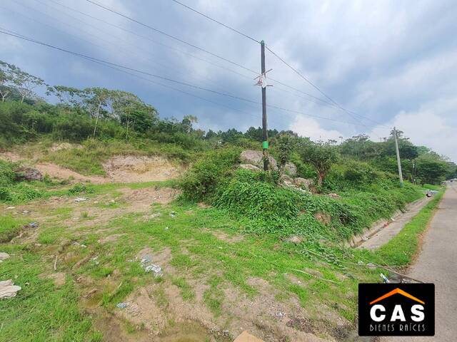 #47 - Terreno para Venta en Santa Cruz de Yojoa - Cortés - 2