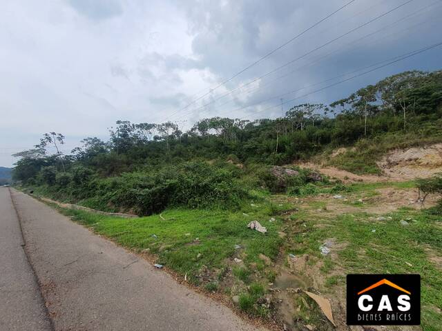 #47 - Terreno para Venta en Santa Cruz de Yojoa - Cortés - 3