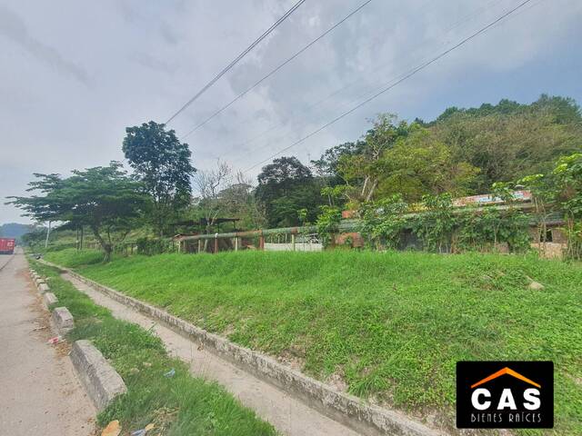 Venta en CA-5 - Santa Cruz de Yojoa