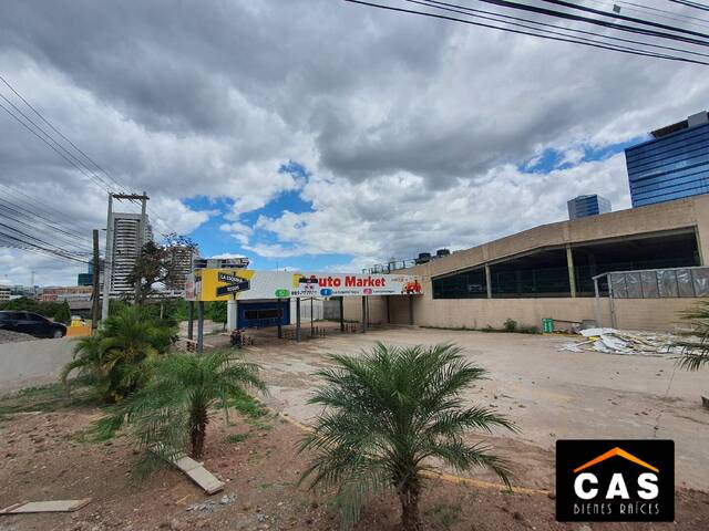 #52 - Punto Comercial para Alquiler en Tegucigalpa - Distrito Central  - 1