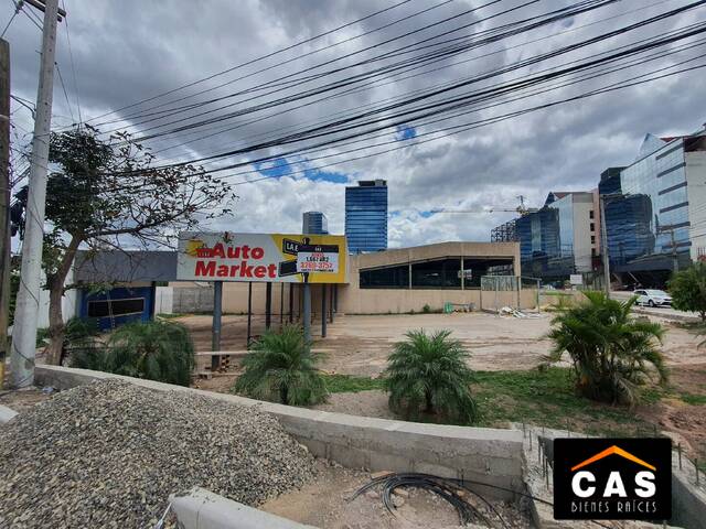 #52 - Punto Comercial para Alquiler en Tegucigalpa - Distrito Central  - 3