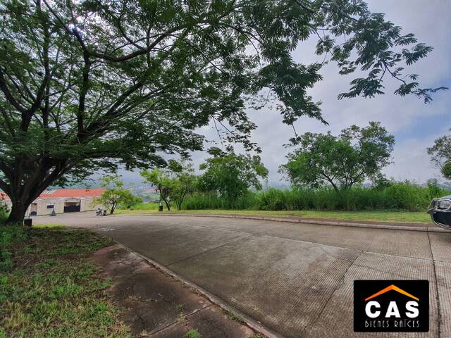 #58 - Terreno para Venta en Tegucigalpa - Distrito Central  - 1