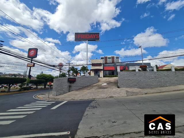 #171 - Piso Comercial para Alquiler en Tegucigalpa - Distrito Central  - 1