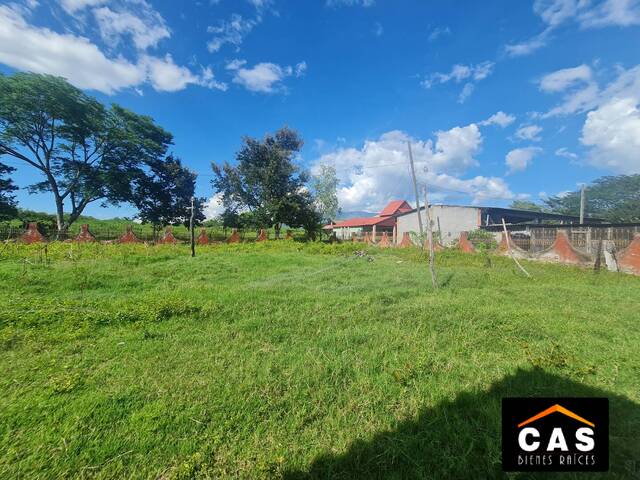 #251 - Terreno para Venta en Comayagua - Comayagua - 2