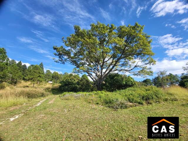 #253 - Terreno para Venta en Valle de Ángeles - Francisco Morazán - 1