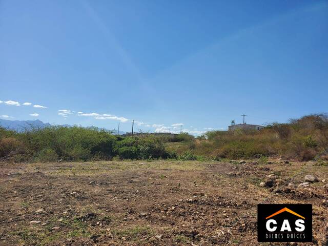 #276 - Terreno para Venta en Comayagua - Comayagua - 1