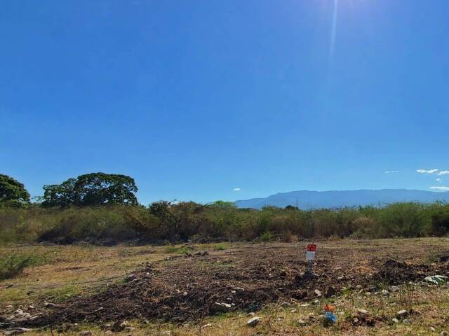 #277 - Terreno para Venta en Comayagua - Comayagua - 1