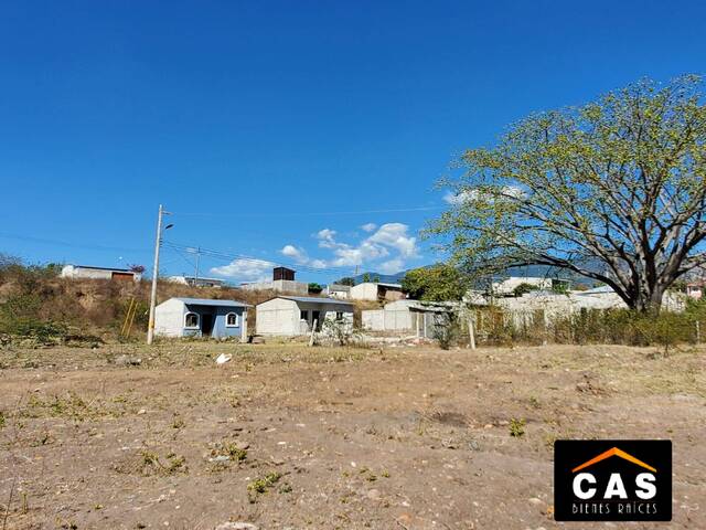 #277 - Terreno para Venta en Comayagua - Comayagua - 3