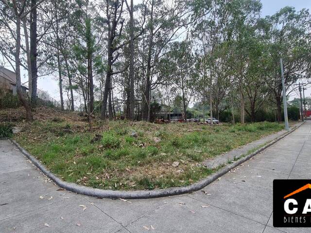 #304 - Terreno para Venta en Tegucigalpa - Distrito Central  - 1