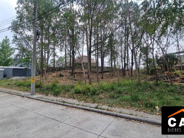 #304 - Terreno para Venta en Tegucigalpa - Distrito Central  - 2