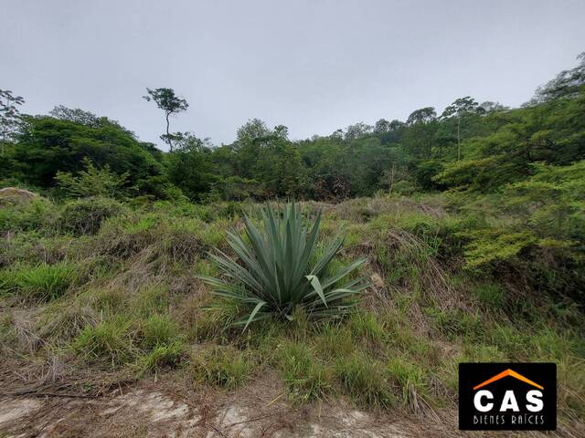 Venta en El Tablón - Tegucigalpa