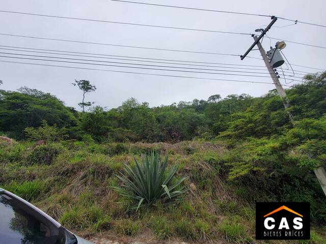 #319 - Terreno para Venta en Tegucigalpa - Distrito Central  - 2