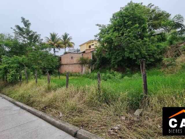 #322 - Terreno para Venta en Tegucigalpa - Distrito Central  - 1