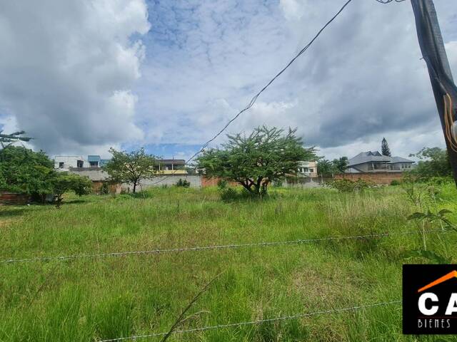 #342 - Isla para Venta en Tegucigalpa - Distrito Central  - 1