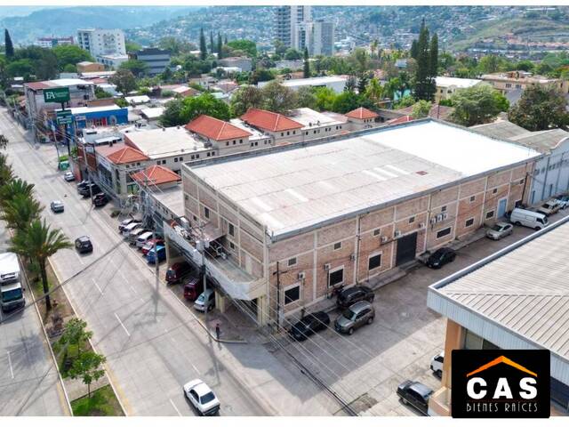 #351 - Oficina para Venta en Tegucigalpa - Distrito Central  - 1