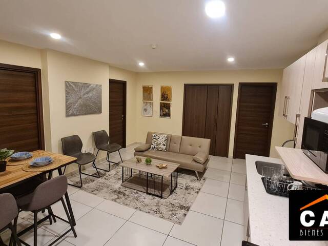 #355 - Apartamento amueblado para Venta en Tegucigalpa - Distrito Central  - 1