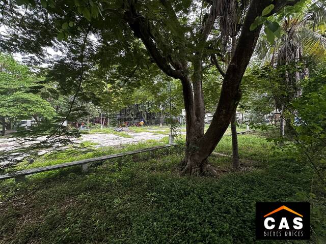 #377 - Terreno para Venta en San Pedro Sula - Cortés - 2