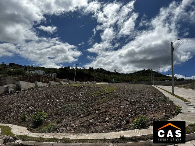 #395 - Terreno para Venta en Tegucigalpa - Distrito Central  - 1