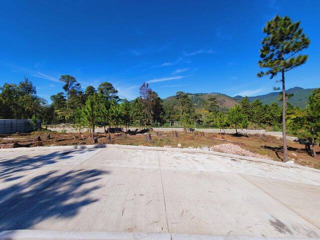 #468 - Terreno para Venta en Valle de Ángeles - Francisco Morazán - 2